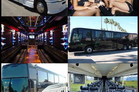 10 Sites To Help You Become An Expert In Airport Limo Dallas | Tearosediner