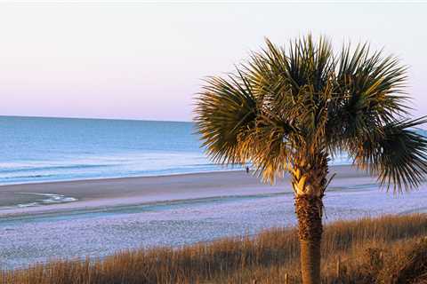 12 Best Family Beaches near me in South Carolina