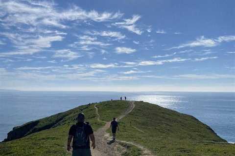 10 Exciting Things to Do in Point Reyes, CA(Visitor’s Guide)