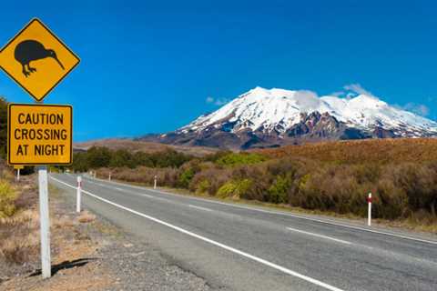 9 Key Things to Know About Renting a Car in New Zealand