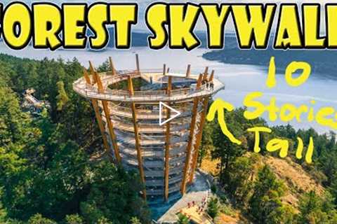 Malahat Skywalk: Vancouver Island's Amazing New Viewpoint