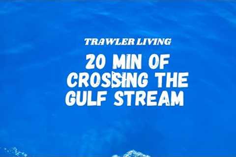 20 min of cruising the Gulf Stream