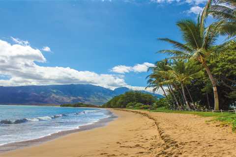 7 Fun Maui Facts That you Should Know Before Visiting