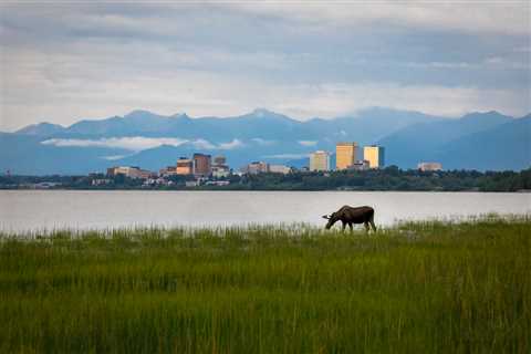 The 8 Best Things to Do in Anchorage, Alaska