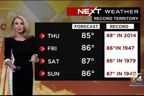 NEXT Weather - Miami + South Florida Forecast - Wednesday Evening 11/23/22