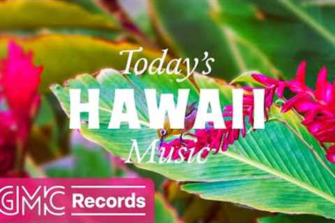 Hawaii Beautiful Birds - Acoustic Guitar Instrumental Music for Strolling, Calming, Relaxing
