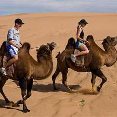 1 Day Semi-Gobi All-included tour - Mongolian Tours