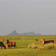 The Best of Central Mongolia Tour in 5 Days - Mongolian Tours