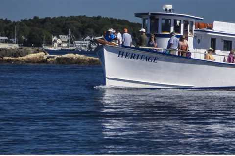 What Types of Harbour Cruises Are Available?
