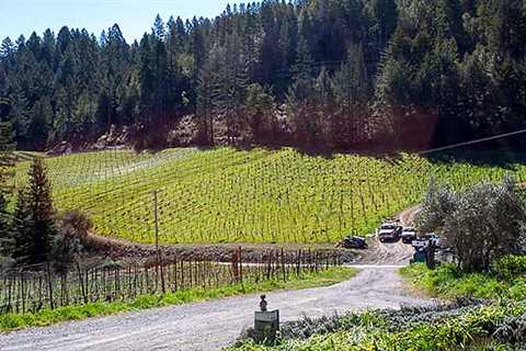 Guerneville – A Secret wine town in the Russian River