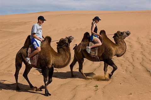 1 Day Semi-Gobi All-included tour - Mongolian Tours