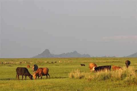 The Best of Central Mongolia Tour in 5 Days - Mongolian Tours