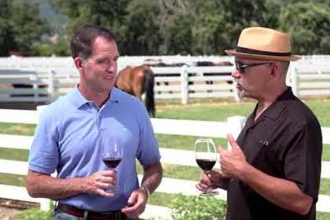Tamber Bey Vineyards: Napa Valley Award-Winning Wines and World Class Equestrian Center