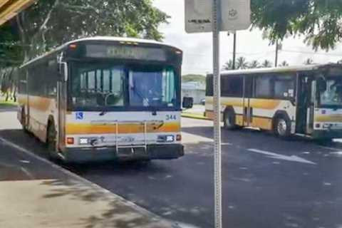 Hele-On bus, paratransit services to be temporarily unavailable because of training