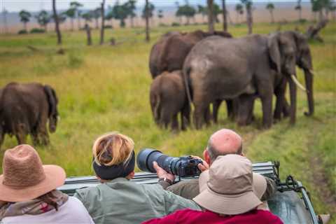 The 10 Best Places for African Safari Tours