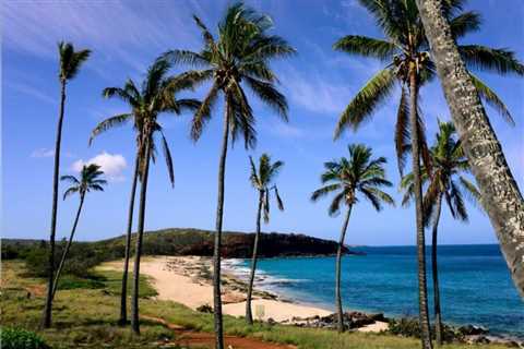 11 Best Beaches in HAWAII ISLANDS to Visit in Spring 2023