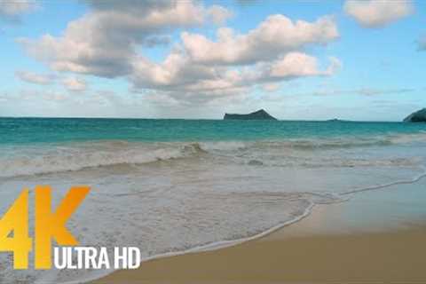 4K Relaxing Waves Oahu Beach, Hawaii - 3 HOUR Ocean Sounds - Ambience Soundscapes
