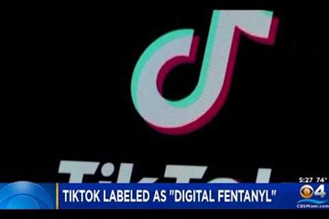 TikTok Called Digital Fentanyl By Chairman Of House Select Committee On China