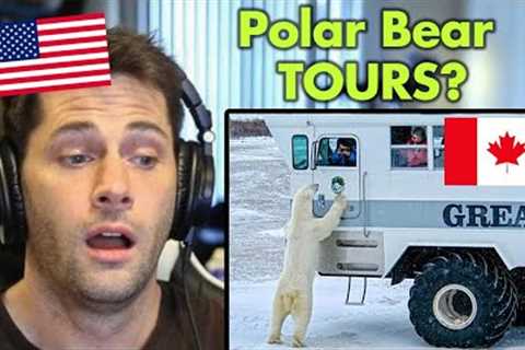 American Reacts to the BEST Travel Experiences in Canada