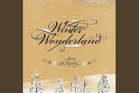 Winter Wonderland (Winter Wonderland)