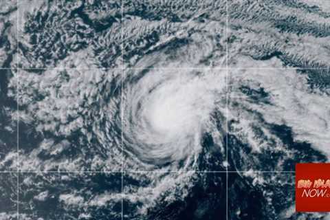 Free webinar shows how to create emergency plan as hurricane season starts