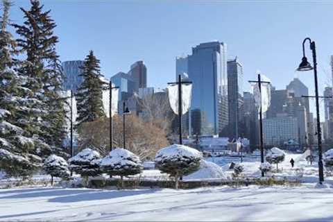 Calgary Alberta after Snowfall in November - Downtown walking tour 4K