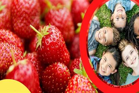 Experience the Delicious Treats at the Cape Coral Strawberry Fest