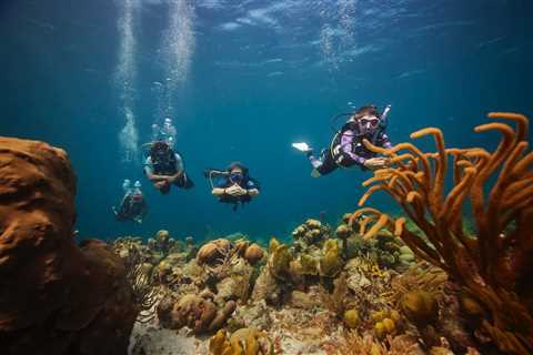 Looking for Paid Work Abroad? Consider Scuba Diving