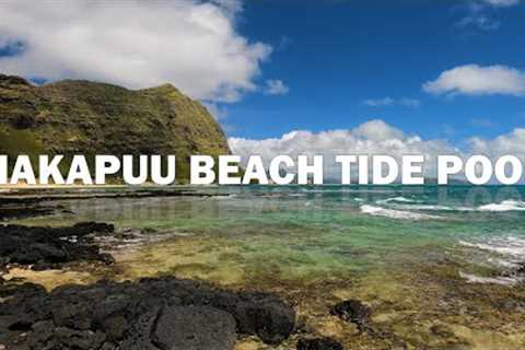 Makapuu Beach Tide Pool 🌈 Waimanalo ⛱️ Makapuu Point Lookout 🏖️ East Oahu 🌴 Hawaii 4K