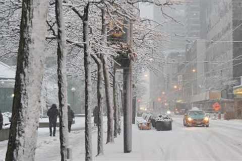 SNOW STORM Toronto 2023 Heavy Snowfall Ontario Extreme Weather in Winter Canada vlogs 4K
