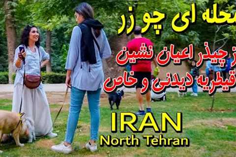 Luxury Neighborhood North Tehran Walking Tour on  Chizar to Qeytarieh street 2023