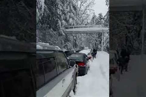 enjoy snow ❄️ #video #shortvideos #viral #nature #2k23 #nature #trip #million #trip