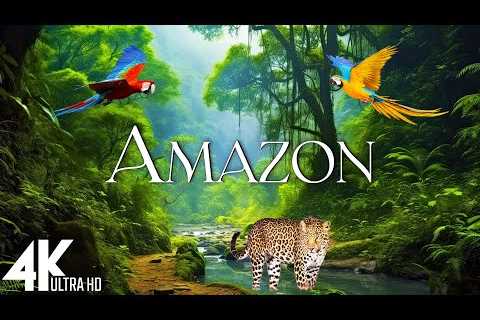 FLYING OVER AMAZON (4K Video UHD) - Scenic Relaxation Film With Inspiring Music