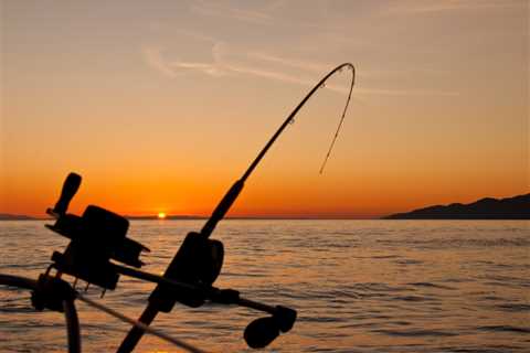 From Novice to Pro: Transform Your Fishing Skills with a Charter Adventure