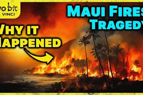The Maui Fires - REAL Reason They Happened