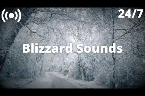 Blizzard Snowstorm in the Winter Forest | Relaxing Sounds for Sleeping, Insomnia: Nature White Noise