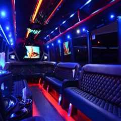 What is the largest size party bus?