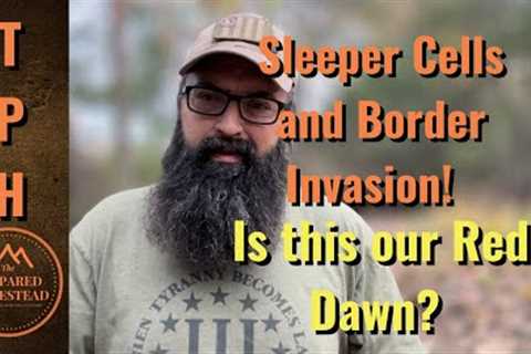 Sleeper Cell Warning and Border Invasion! Is this our Red Dawn Moment?