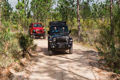Exploring Off-Road Trails in Panama City Beach, Florida - An Expert's Guide
