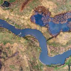 Peat power: Rewilding in the Oder Delta