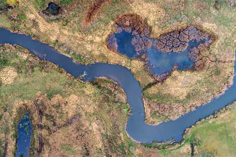 Peat power: Rewilding in the Oder Delta