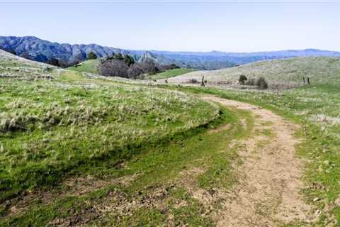 Exploring the Best Parks for Hiking in Alameda County