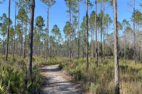 Exploring the Most Exciting Trails in Panama City, Florida
