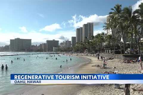Local organization works with many businesses to promote responsible tourism in Hawaii