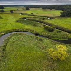 Oder Delta rewilding team continue efforts to restore the Ina River
