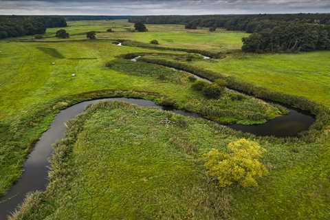 Oder Delta rewilding team continue efforts to restore the Ina River