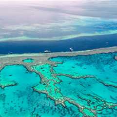 Your Guide to Diving the Great Barrier Reef