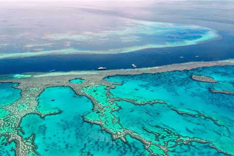 Your Guide to Diving the Great Barrier Reef