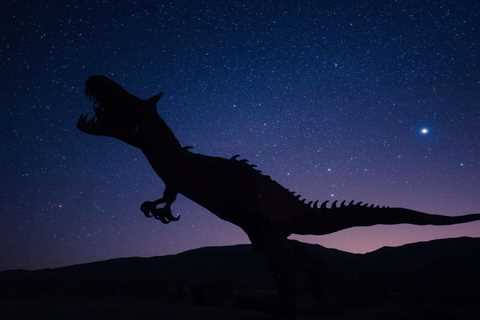 Mongolia Dinosaur Fossils: A Sneak Peek Into the Past