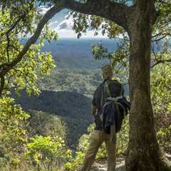 Exploring the Natural Beauty of Hapeville, GA: A Guide to Hiking Trails